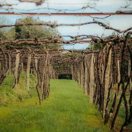 Affittacamere Casa De Anquiao - Turismo De Habitacao Ponte de Lima