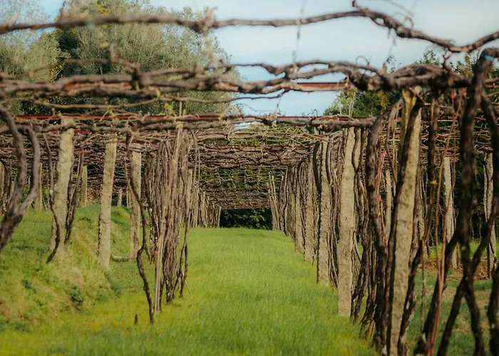 Affittacamere Casa De Anquiao - Turismo De Habitacao Ponte de Lima